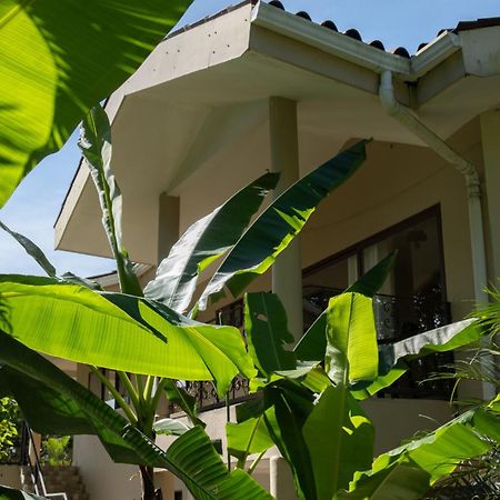 Sol Y Sombra Bed & Breakfast Bocas Town Exterior foto